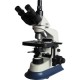 Trinocular UIS biological microscope 